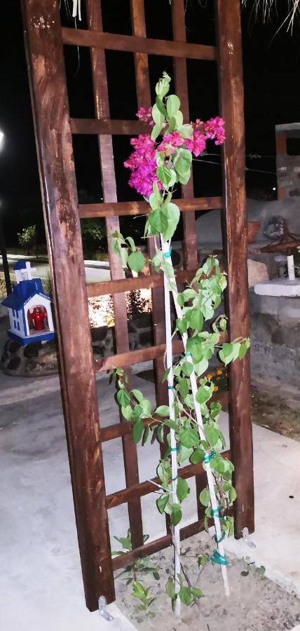 Marika Apartments Mastichari  Luaran gambar